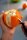 Ingwer- und Orangenschäler MELANSINA